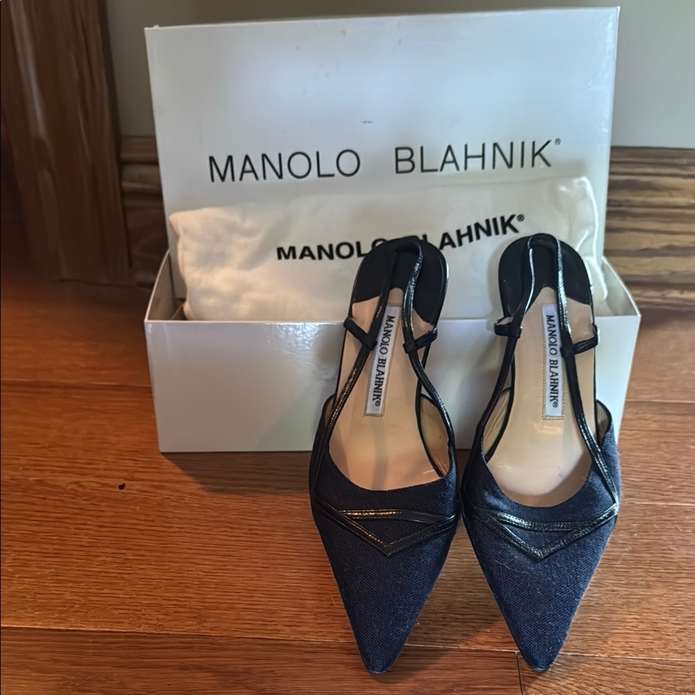Manolo Blahnik Navy and Black Kitten Heels with Sophisticated Pointed Toe